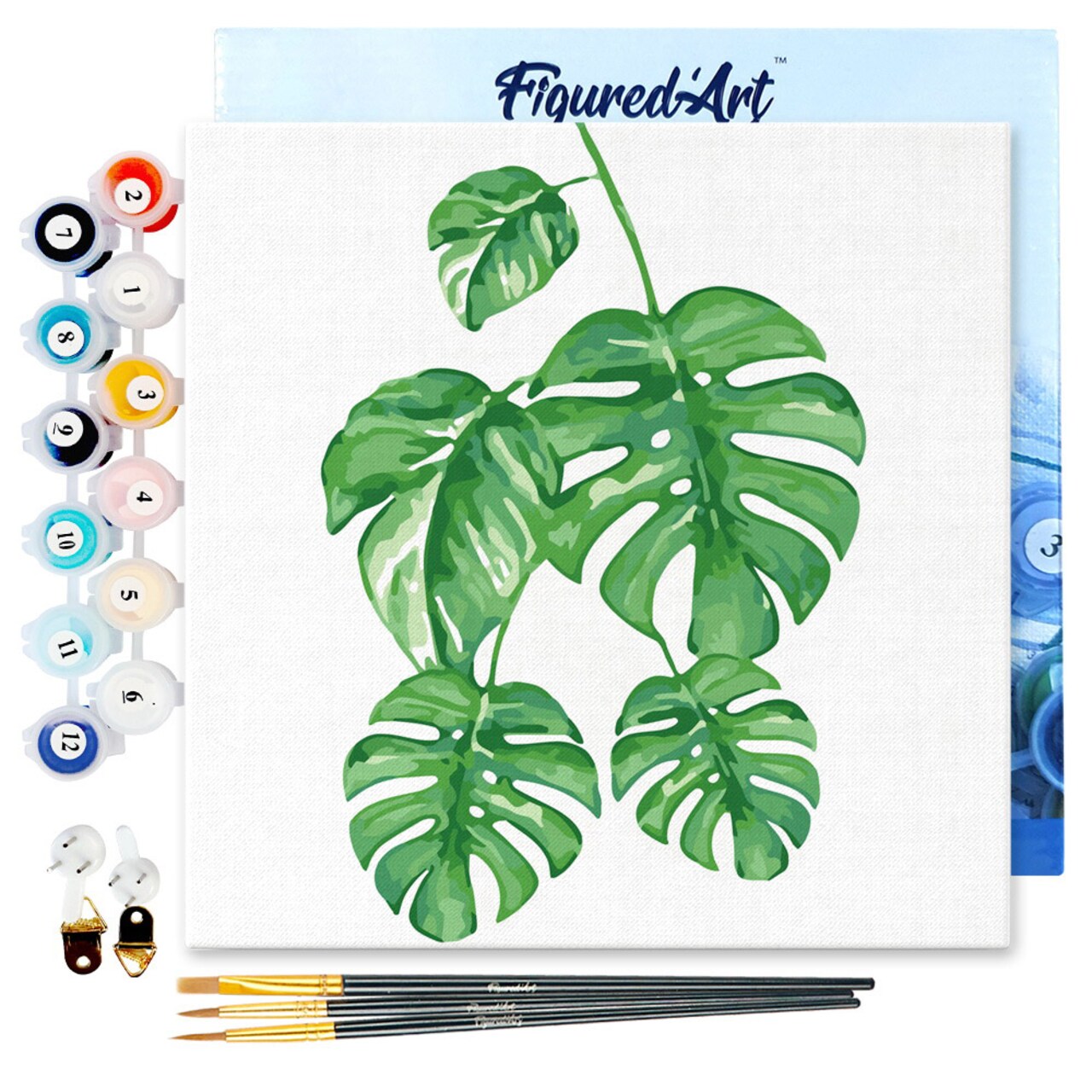 Figured'Art Mini Paint by Numbers Kit for Adults with Frame Monstera Leaves Small format 8"x8" - Craft Art Painting DIY Canvas Already Stretched on a Wooden Frame